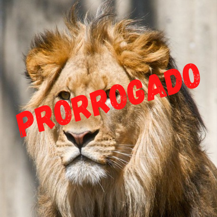 IR prorrogado