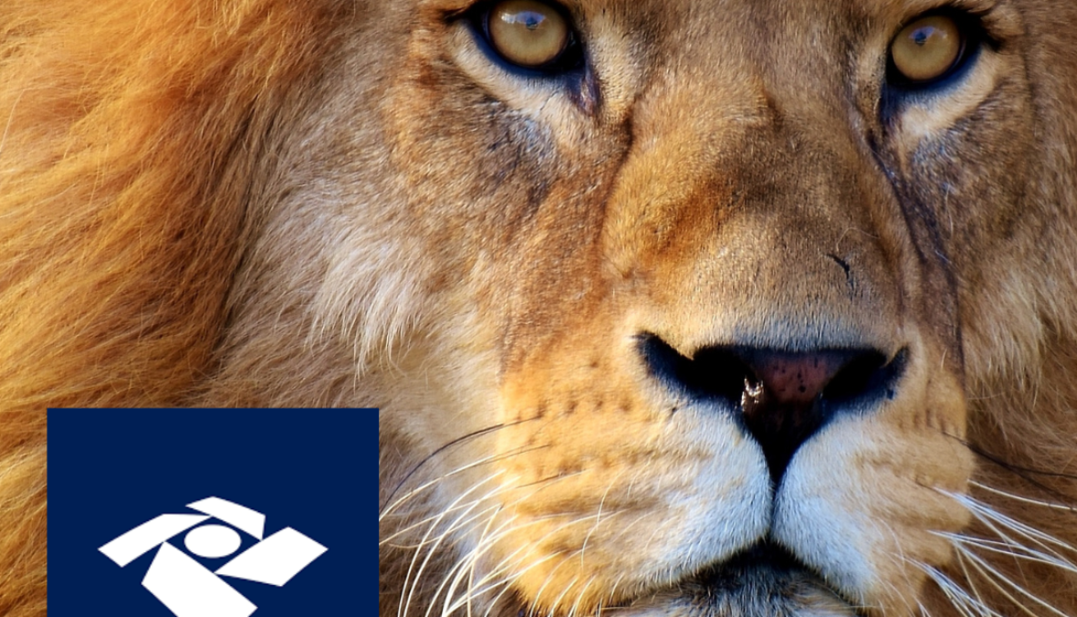 Leão Imposto de Renda