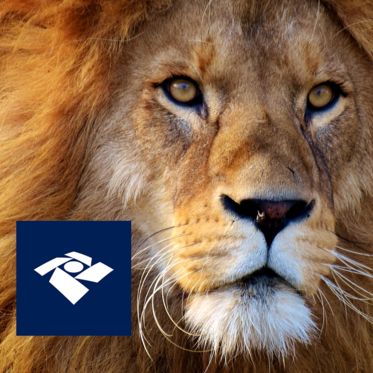 Leão Imposto de Renda